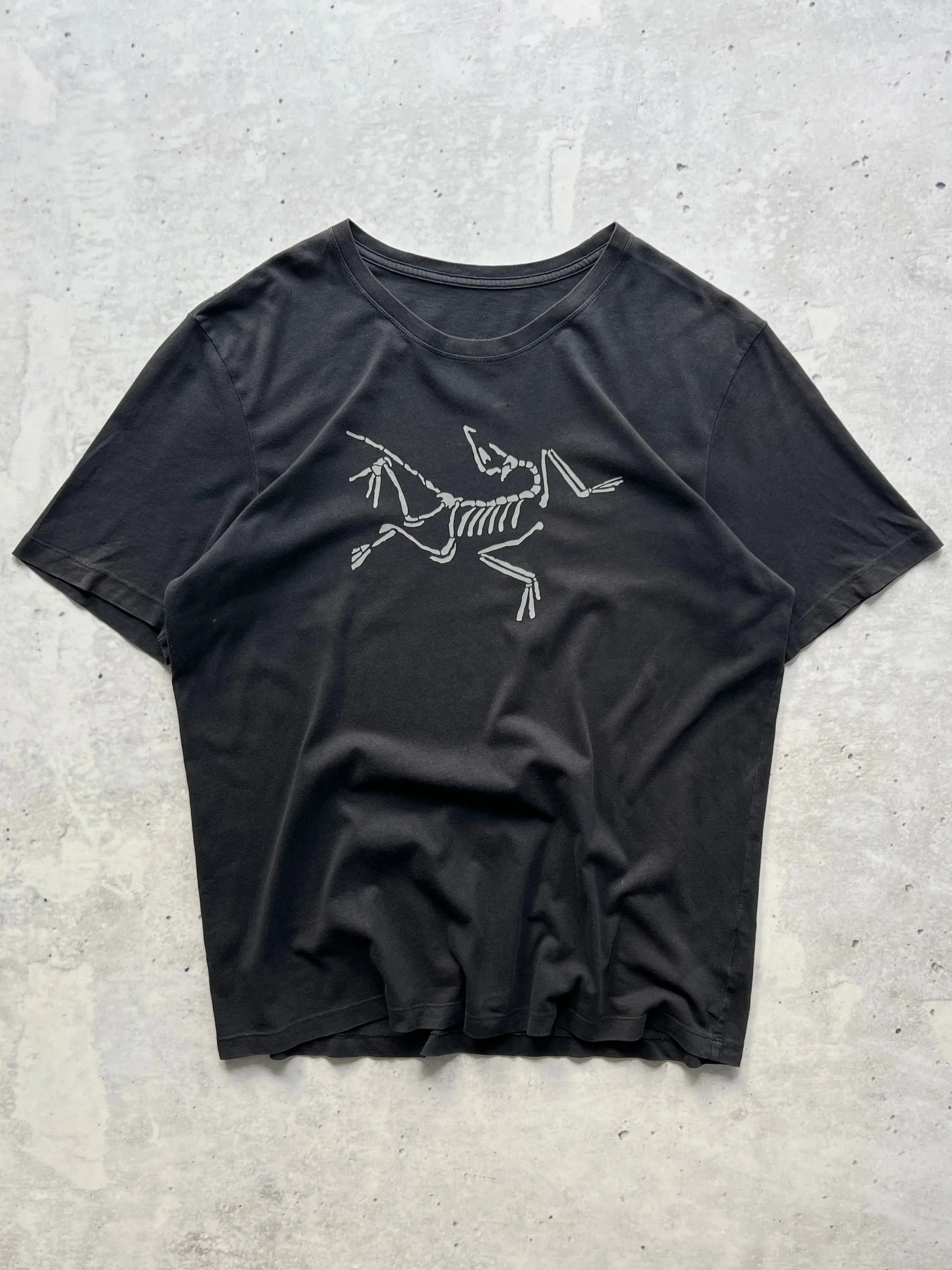 Arc'teryx Archaeopteryx lithographica T Shirt (XL)