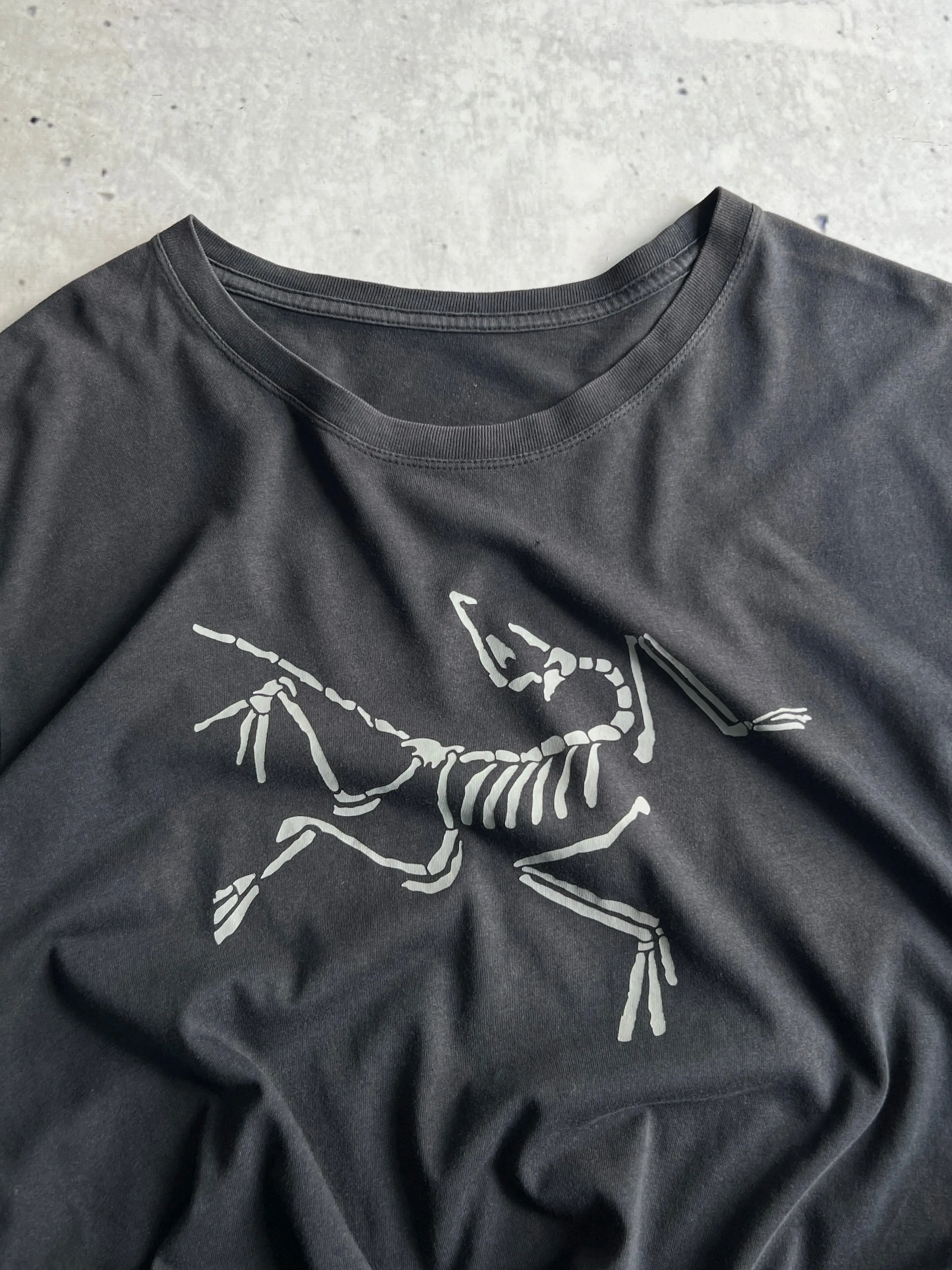 Arc'teryx Archaeopteryx lithographica T Shirt (XL)