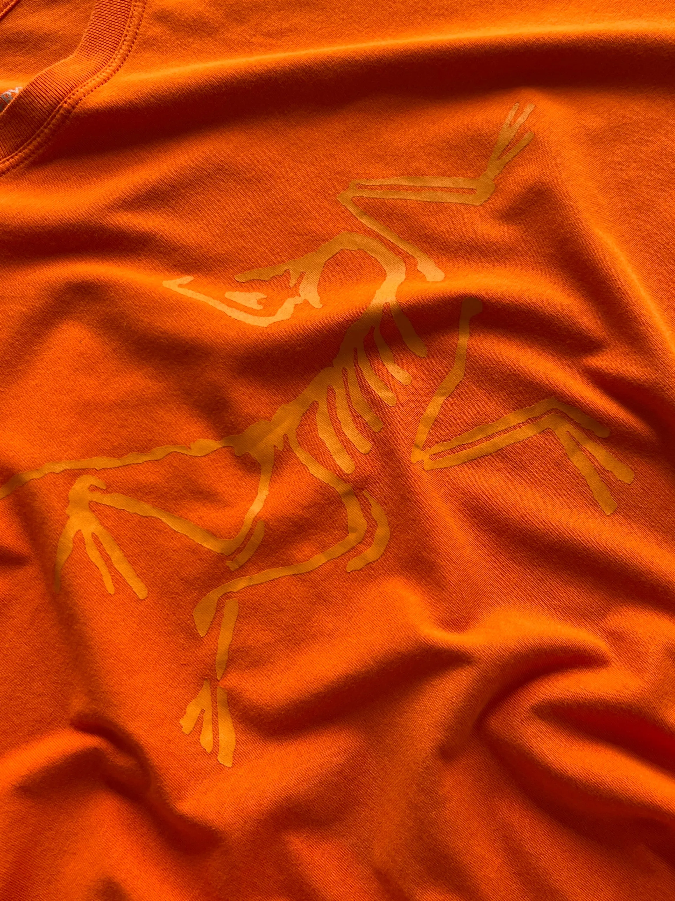 Arc'teryx archaeopteryx T shirt (XL)