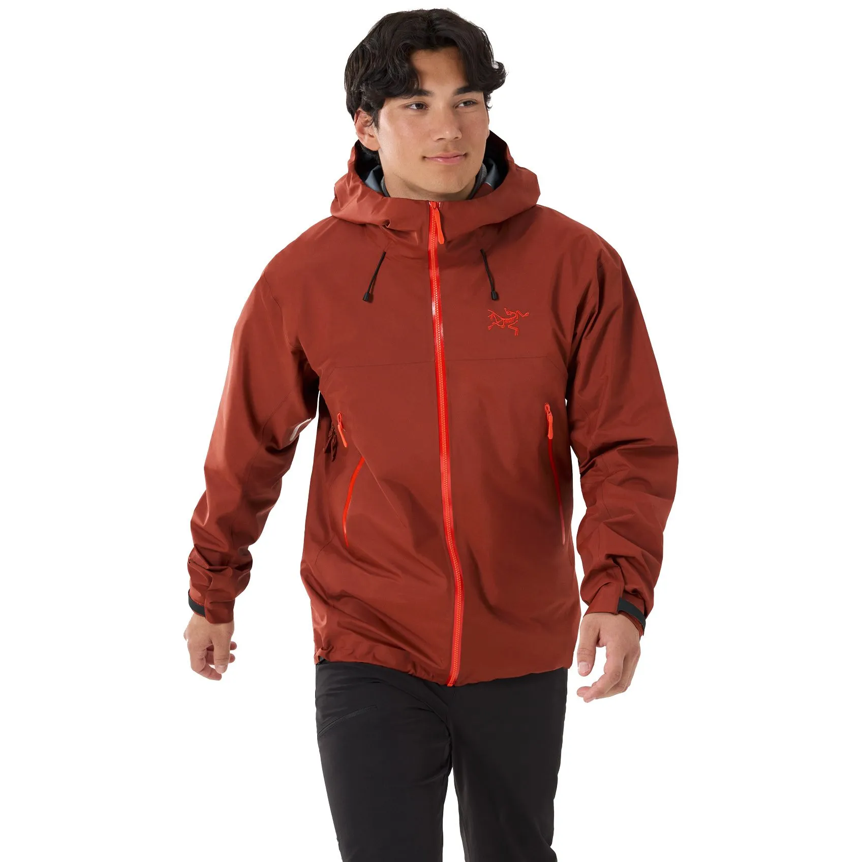 Arc'teryx - Beta SL GORE-TEX\u00ae Hardshell Jacket Men sequoia