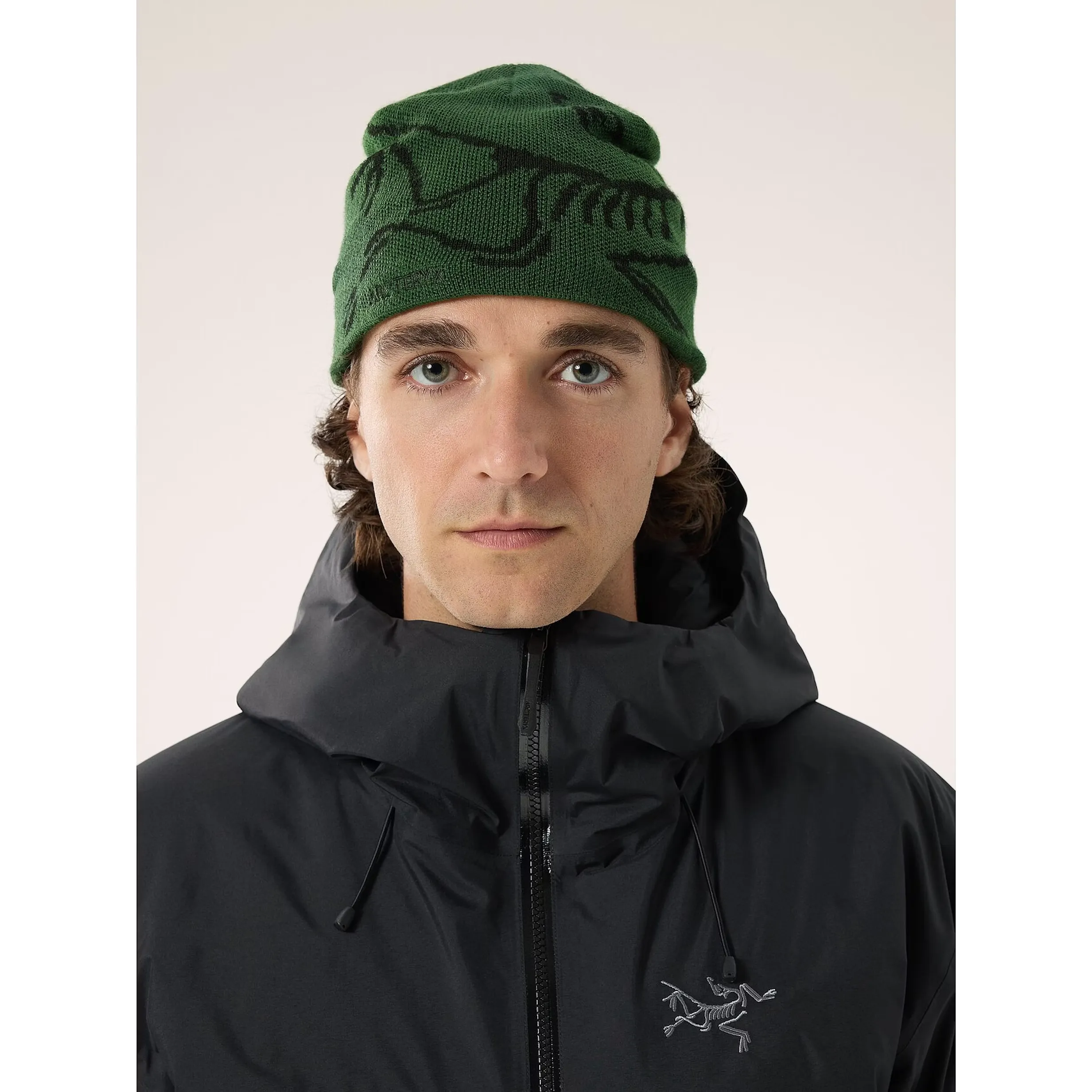 Arc'teryx Bird Head Toque