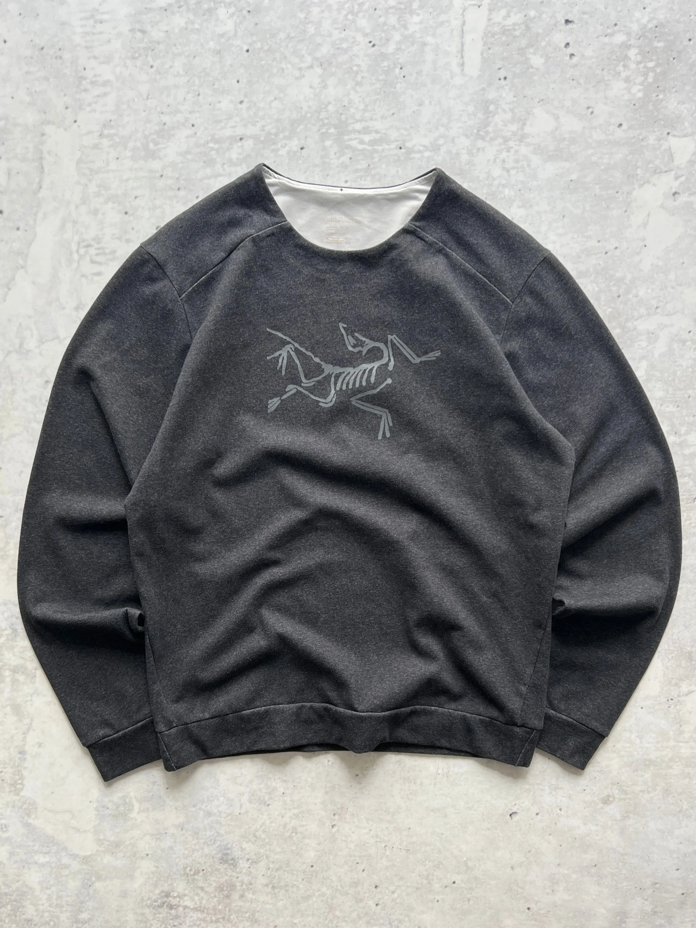 Arc'teryx mentum bird pullover Sweatshirt (S)