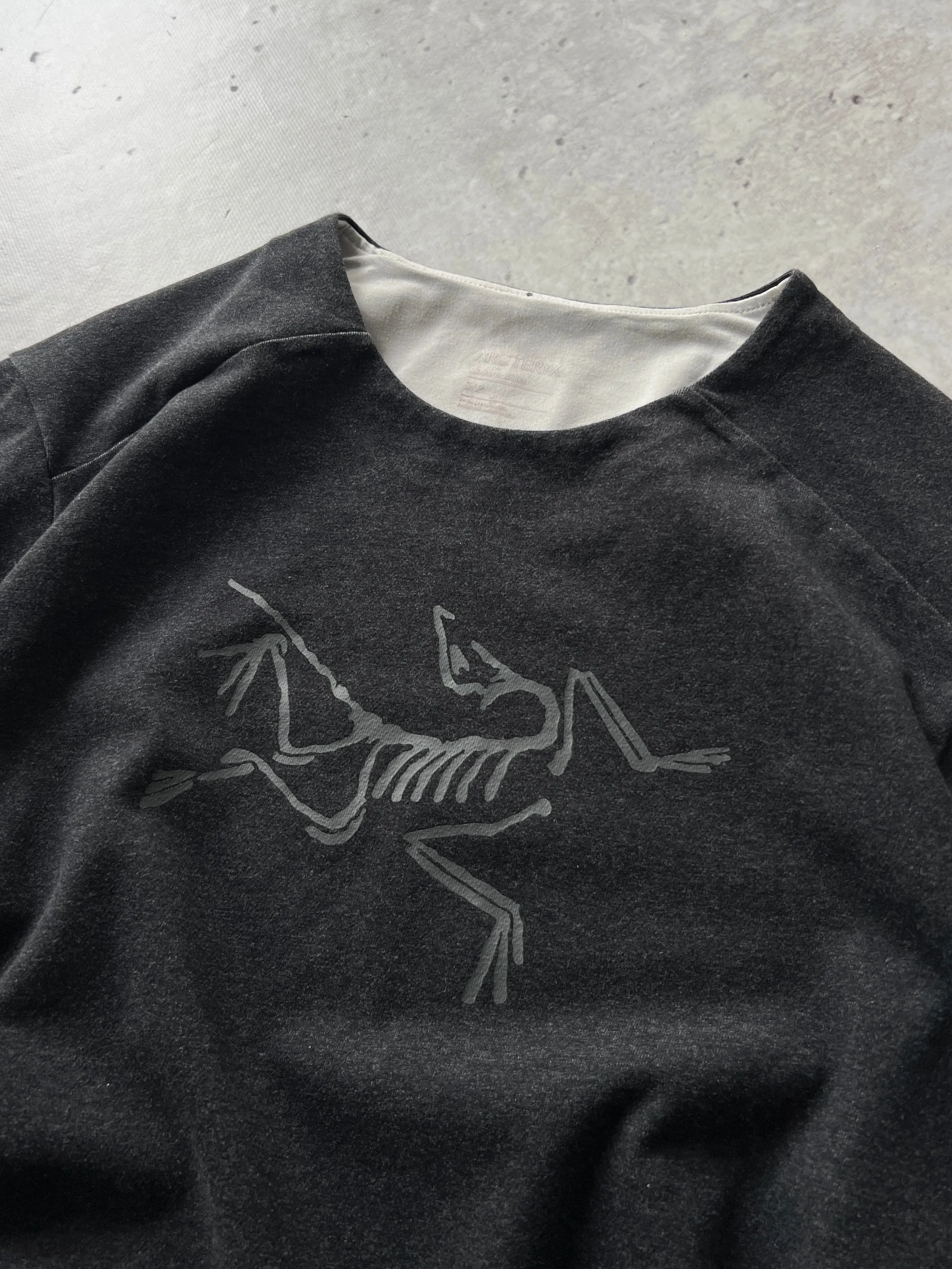 Arc'teryx mentum bird pullover Sweatshirt (S)