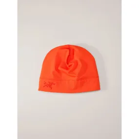 Arc'teryx Rho Toque