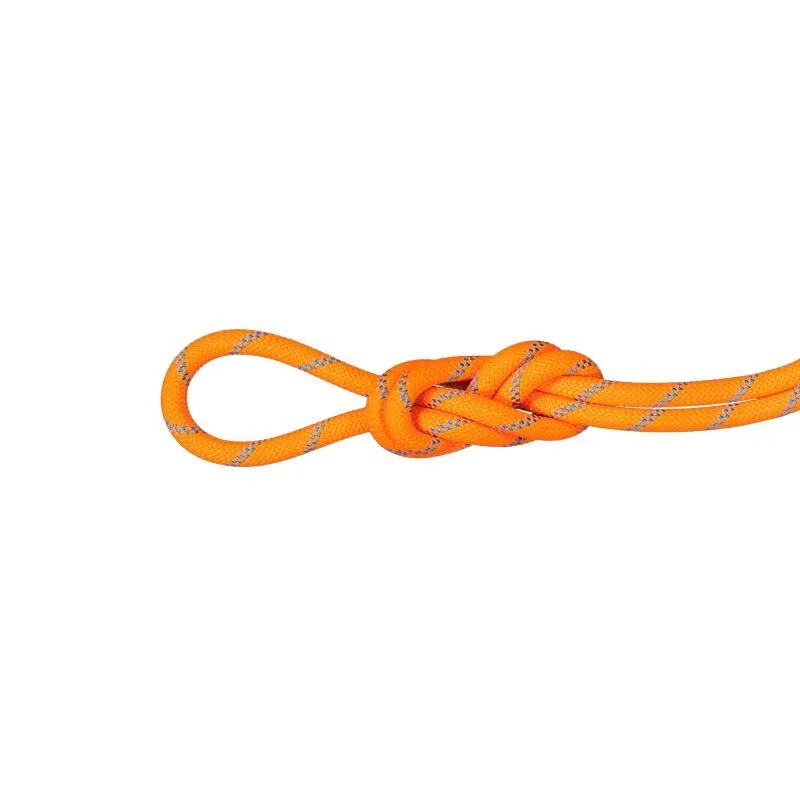 Mammut 8.7 Alpine Sender Dry Rope - Climbing rope