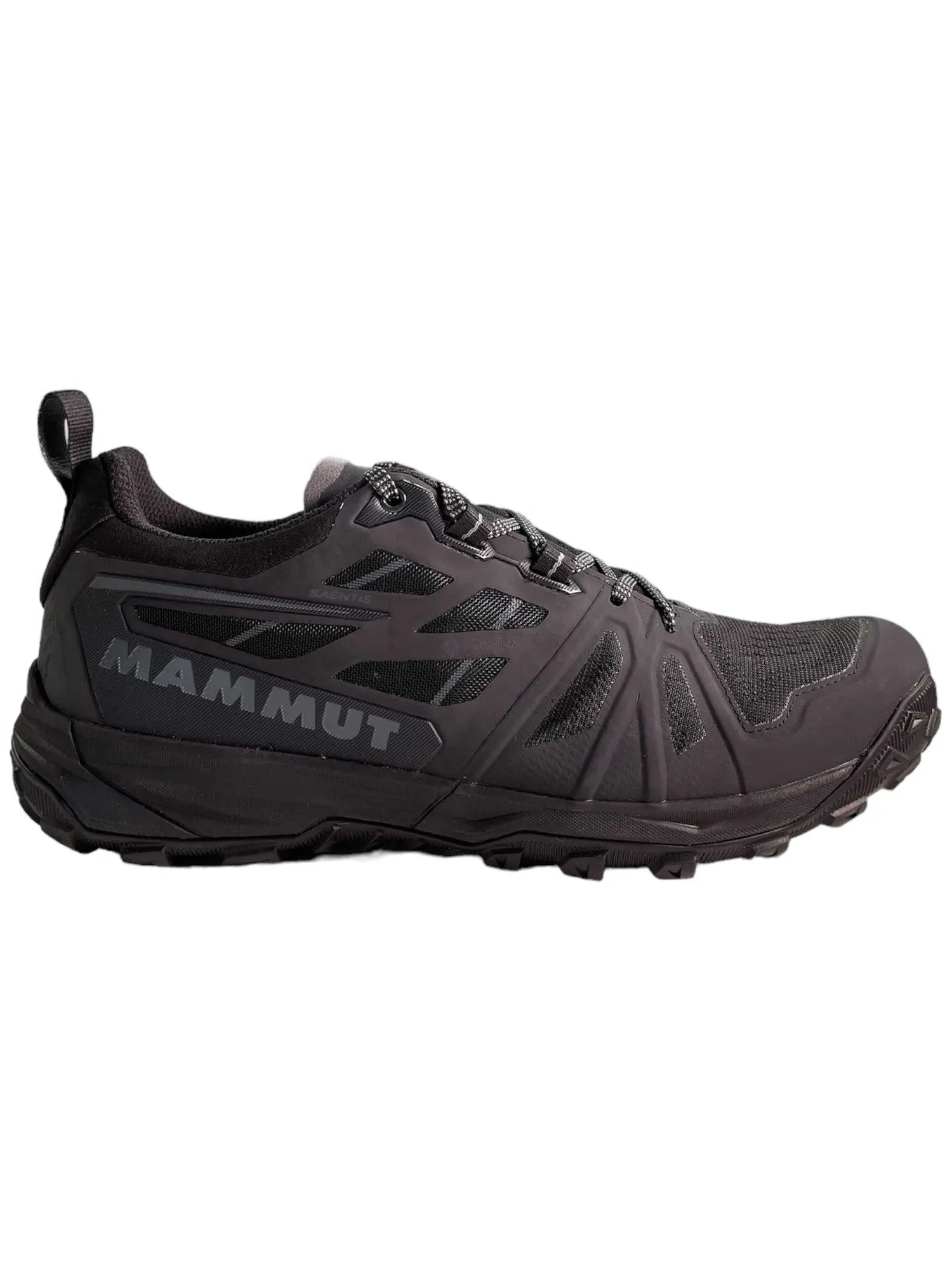 Mammut Women's Saentis Low GTX Shoe